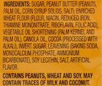 Fudge Covered Peanut Butter Filled Cookies, Real Cocoa & PB, Great Snack Snacking Kosher Food Dessert Treat, 9.5 oz Value Pack