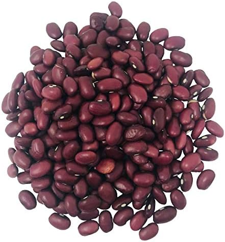 Food to Live Organic Small Red Chili Beans, 1 Pound - Non-GMO, Kosher, Vegan, Dry, Raw, Sproutable, Non-Irradiated, Bulk, Product of the USA