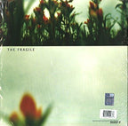 The Fragile Explicit Lyrics