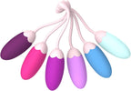 FENHUA Kegel Exercise System–Pelvic Floor Strengthening- Set of 6 Premium Silicone Kegel Exercise Weights & Control with Training Kit for Women: Beginners & Advanced