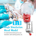 Mouth Simulator Phantom Head Teaching Head Model Fix on Table Replaceable Typodont Tooth Model 360-Degree Adjustment for Dentists & Dental Assistants and Hygienists