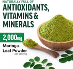 Force Factor Modern Moringa Powder to Support Energy, Vitality & Immune Health, Complete Green Superfood with Antioxidants, Naturally Unflavored, ~30 Servings