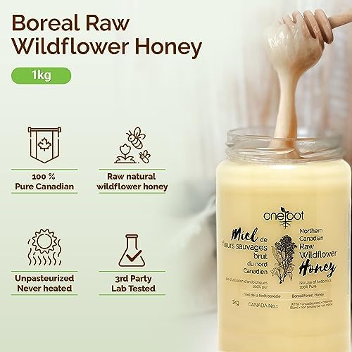 Oneroot 100% Canadian Wildflower Honey - 1kg / 2.2lbs, Unheated & Creamed - Nutrient-Rich, Natural Sweetener with Enzymes - Thick & Pure Raw Unfiltered Honey