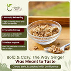 Organic Way Premium Dried Ginger Root Cut & Sifted (Zingiber officinale) - Organic & Kosher Certified | Raw, Vegan, Non GMO & Gluten Free | USDA Certified | Origin - India (1/2 LBS)