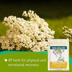 Yarrow Flower Tea Organic (4oz.)- Dried Yarrow Herb Loose Leaf - Herbal Tea to Support Healthy Immune Function & Relaxation