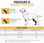 KISAO Dog Knee Brace for Torn ACL Hind Leg - Adjustable Knee Brace for Arthritis Pain Reliever for Dogs - Neoprene Compression for Joint Stability, Pain Relief - Comfortable & Vet-Recommended (Large)