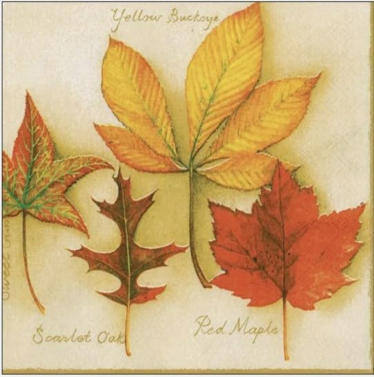 Fall Leaves Fall Leaf Cocktail Napkins, 20 Count Nature Paper Napkins 3 Ply Rustic Autumn Cocktail Napkins Disposable Dinner Napkins Decorative Paper Party Napkin Fall Winter 5 x 5 Inch Decoupage