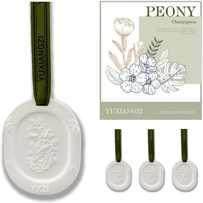 Essential Oil Diffuser, 3pcs Plaster Passive Hanging Closet Deodorizer for Armoire, Cars, Bathroom Etc. Non-Electric, BatteryFree, waterless, Sage Green