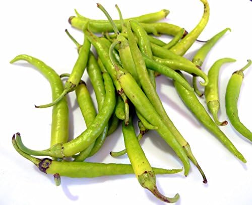 Guindilla Pepper Heirloom Basque Region Pepper Premium Seed Packet + More