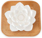Plant Therapy Passive Lotus Flower Aromatherapy Diffuser - A Chic and Natural Home, Office, and Travel Essential Oil Diffuser
