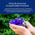 VAHDAM, Butterfly Pea Flower Tea (1.76oz) 100+ Cups | Delicate & Earthy | Vacuum Sealed for Freshness | Butterfly Pea Flower Loose Leaf | Brew Iced Tea, Cooking, Mocktails & Cocktails