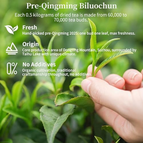 CHADUO Bi Luo Chun Tea Chinese Green Tea Loose Leaf New Tea Biluochun Green Tea From Dongting Mountain Supreme Grade Pi Luo Chun Fresh Flower & Fruit Notes 120g/4.23oz 碧螺春 绿茶 中国绿茶