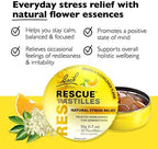 RESCUE Bach PASTILLES, Orange and Elderflower Flavor, Natural Stress Relief Lozenges, Homeopathic Flower Essence, Vegetarian, Gluten & Sugar-Free, 6 Count