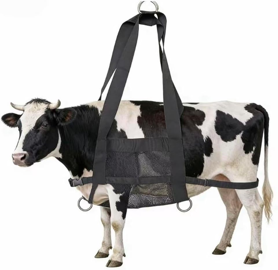 xxikhhhhikxx。Calf Sling for Weighing Animals - Adjustable Straps - Animal Carrier Sling - Baby Scales for Calves, Lambs, Goats, Alpacas.