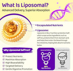 Liposomal Saffron Drops for Kids, Organic Saffron Extract Supplements with Holy Basil, Rosemary for Focus, Attention & Brain Support, Vegan, Alcohol-Free, Strawberry Flavor, 2 FL OZ