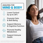 Force Factor Amazing Ashwa for Stress Relief, Memory, Focus, and Immune Support Health, Ashwaganda Supplement with KSM-66 Ashwagandha for Stress, 60 Soft Chews