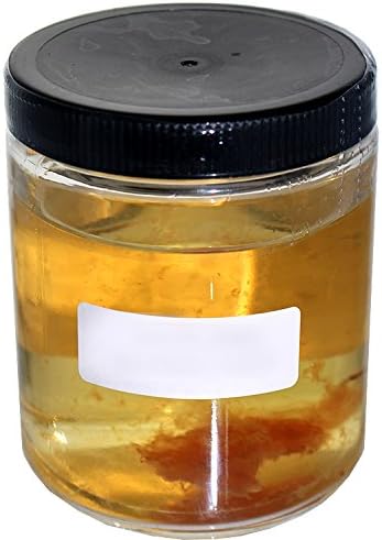 Supreme White Wine Mother of Vinegar (New & Improved Mother)
