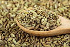 Fennel Seed 1LB (16Oz) 100% CERTIFIED Organic Egyptian Fennel Seed (Foeniculum vulgare), in 1 lbs. Bulk Resealable BPA-free Bag by U.S. Wellness Naturals