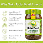 Basic Ayurveda Holy Basil (Tulsi) Leaves | 1.06 Oz (30g) | Pure Dried Tulsi Leaves | Natural Ayurvedic Herb for Herbal Tea, Detox & Daily Wellness | Non-GMO, Gluten-Free & Vegan