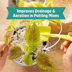 Back to the Roots 100% Organic Perlite | Made in the USA | Premium Nutrition for Indoor and Outdoor Plants