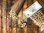 Alta Langa Hazelnuts - Terra delle Nocciole - Piemonte, Italy