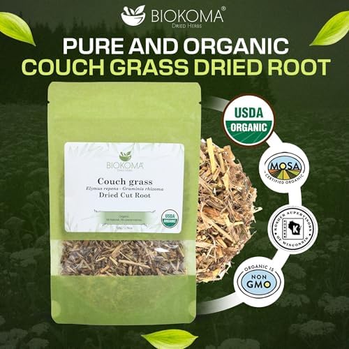 Biokoma Organic Couch Grass Dried Cut Root 1.76oz USDA Organic Herbal Tea Elymus Repens Rhizome Loose Herb Urinary Kidney Bladder Support Resealable Pouch No Additives No Preservatives Non GMO Kosher