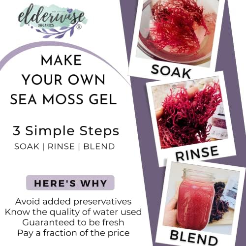 Sea Moss | Purple | Makes 24oz of Gel | Raw + Non GMO | Sundried | WILDCRAFTED