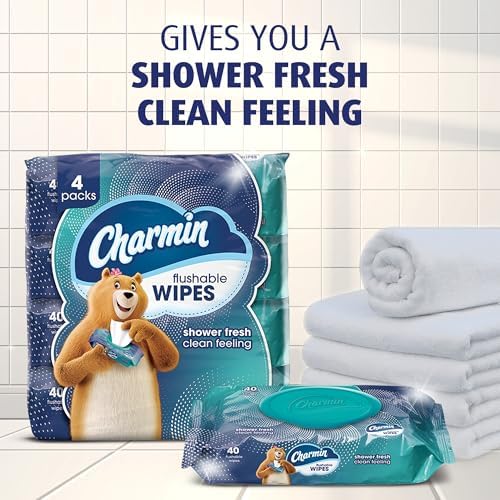 Charmin Flushable Wipes, 480 Total Wipes (12 Packs of 40)