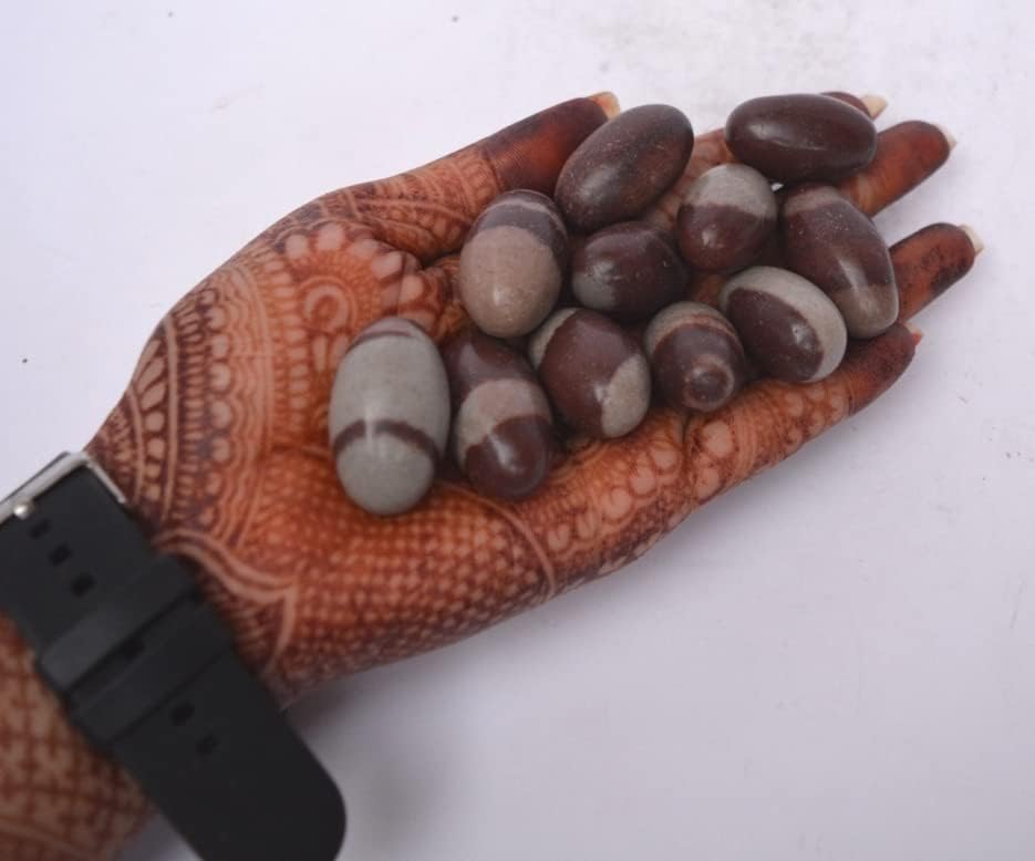 Narmada Shiva Lingam Stone 1.3 Inch Set of 11 – Natural Narmadeshwar Banalinga from Narmada River, Sacred Shivling for Pooja, Meditation, Reiki Healing & Spiritual Energy