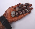 Narmada Shiva Lingam Stone 1.3 Inch Set of 11 – Natural Narmadeshwar Banalinga from Narmada River, Sacred Shivling for Pooja, Meditation, Reiki Healing & Spiritual Energy