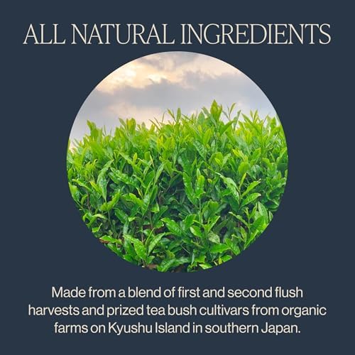 Rishi Tea Sencha Green Tea - Organic Sachet Bags, Caffeinated Japanese Green Tea, Enjoy Hot or Iced - 30 Count