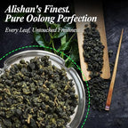 ZONE - 365 Oolong Loose Leaf Tea from Taiwan Alishan District - High Mountain Premium Quality, 70 Cups Fresh Smooth Unsweetened Loose Tea - 150 Gram (pack of 2)