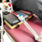 Chiropractic Speeder Board Drop Speeder Board, Portable Limb Joint Correction Chiropractic Tool, Limb Joint Massager Chiropractic Activation