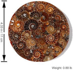 Natural Ammonite Fossil Disc with Stand Set, Feng Shui Decor Shell Slice Disc Conch Mineral Specimen Ornament for Home