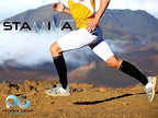 Physix Gear Compression Socks 20-30 mmHg - Men & Women - Running, Nurses, Shin Splints, Flight, Travel