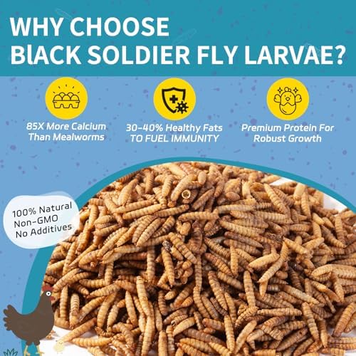5LB Dried Black Soldier Fly Larvae for Chickens - 85X More Calcium Than Mealworms for Strong Eggshells, High-Protein Chickens Treats for Laying hens, Birds, Ducks