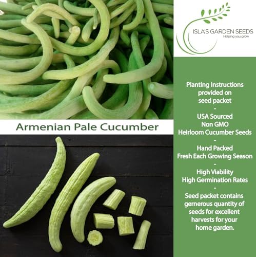 Armenian Pale Green Cucumber Seeds (Cucumis sativus) – 100+ Non-GMO & Heirloom Seeds for Planting, Long Crisp Light-Green Cucumbers for Fresh Eating & Salads, by Isla’s Garden Seeds, Gift Idea