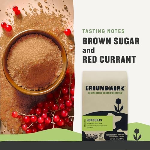GROUNDWORK COFFEE CO USDA Organic Honduras Whole Bean Coffee, 10 OZ