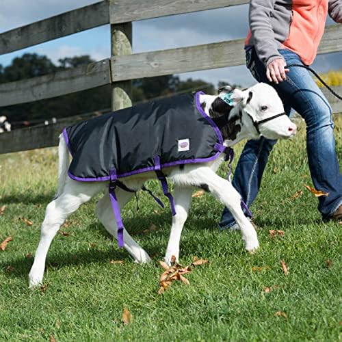 Weaver Leather Livestock Pro Calf Blanket