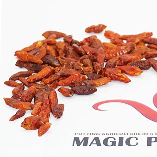 4 OZ Fiery Farms African Birds Eye Dry Chili Pepper Pods (Birdseye or Piri Piri) Non-GMO