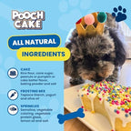 Dog Birthday Cake Kit - Birthday Cake Flavor with Sprinkles - Microwavable Cake Mix, Dog Icing Mix and Dog Safe Sprinkles - Made in USA - Reusable Silicone Pan