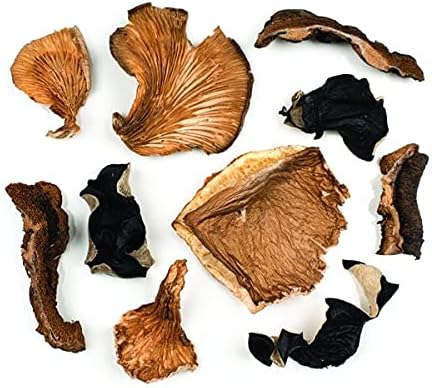 Roland Foods Premium Dried Mixed Wild Mushrooms, Specialty Imported Food, 1.41-Ounce Jar