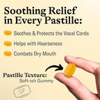 GRETHER'S Sugarfree Elderflower Pastilles – Premium Swiss Throat Lozenges for Dry Mouth & Throat Comfort – Intense Fruit Flavor – Gluten & Lactose Free – Gift for Singers – 2.1 oz