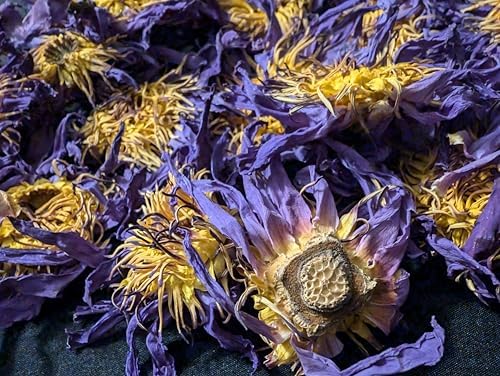 Lotus Flower Tea | Ankhclave's Sesen | 1oz Bag