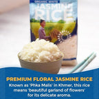 Lotus Foods Organic White Jasmine Rice - Jasmine Rice, Gluten Free White Rice, Organic Rice, Long Grain Asian Sticky Rice, USDA Organic, Vegan, Gluten Free - 30 Oz (Pack of 6)