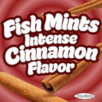 Scripture Candy, Sugar Free Fish Shaped Cinnamon Flavored Mints in a Pocket Sized Tin, 9 Count