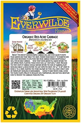 Everwilde Farms - 250 Organic Red Acre Cabbage Seeds - Gold Vault Packet