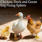 Chicken, Duck Leg Fixing Splints - 4 Sizes Poultry Leg Support Set for Bumblefoot Treatment, Toe Separator or Universal (Universal)