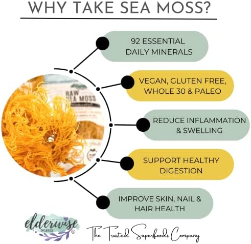 Elderwise Raw Sea Moss | Seamoss Makes 24oz of Gel | Wildcrafted Golden Sea moss | Raw | Sundried | Mineral and Vitamin Rich | Golden