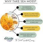 Elderwise Raw Sea Moss | Seamoss Makes 24oz of Gel | Wildcrafted Golden Sea moss | Raw | Sundried | Mineral and Vitamin Rich | Golden